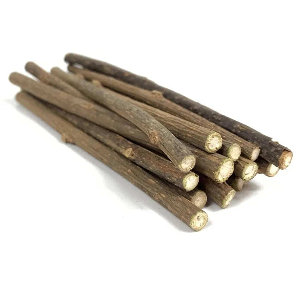 Bundle of natural silvervine chew sticks for cats – photo 12