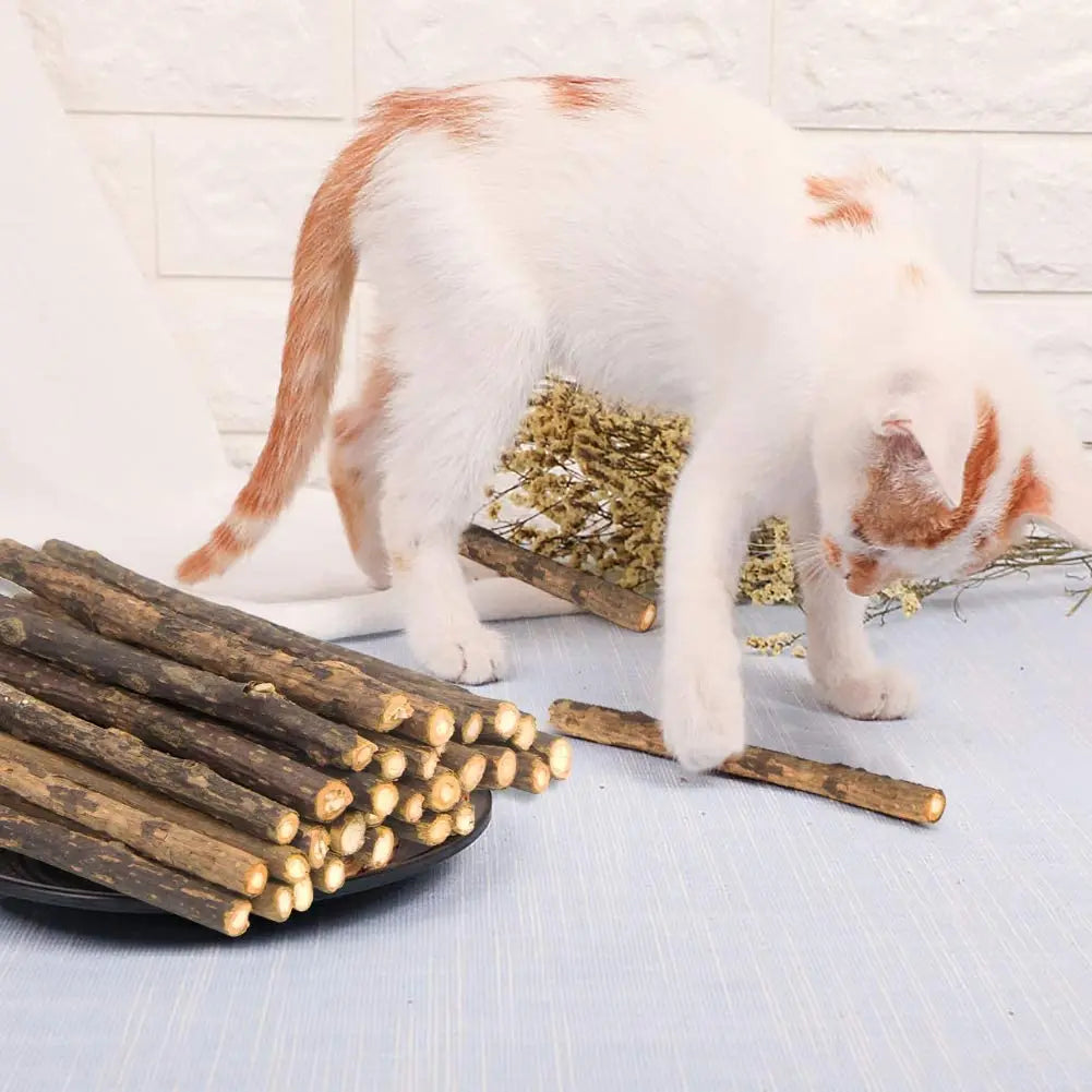 Bundle of natural silvervine chew sticks for cats – photo 10