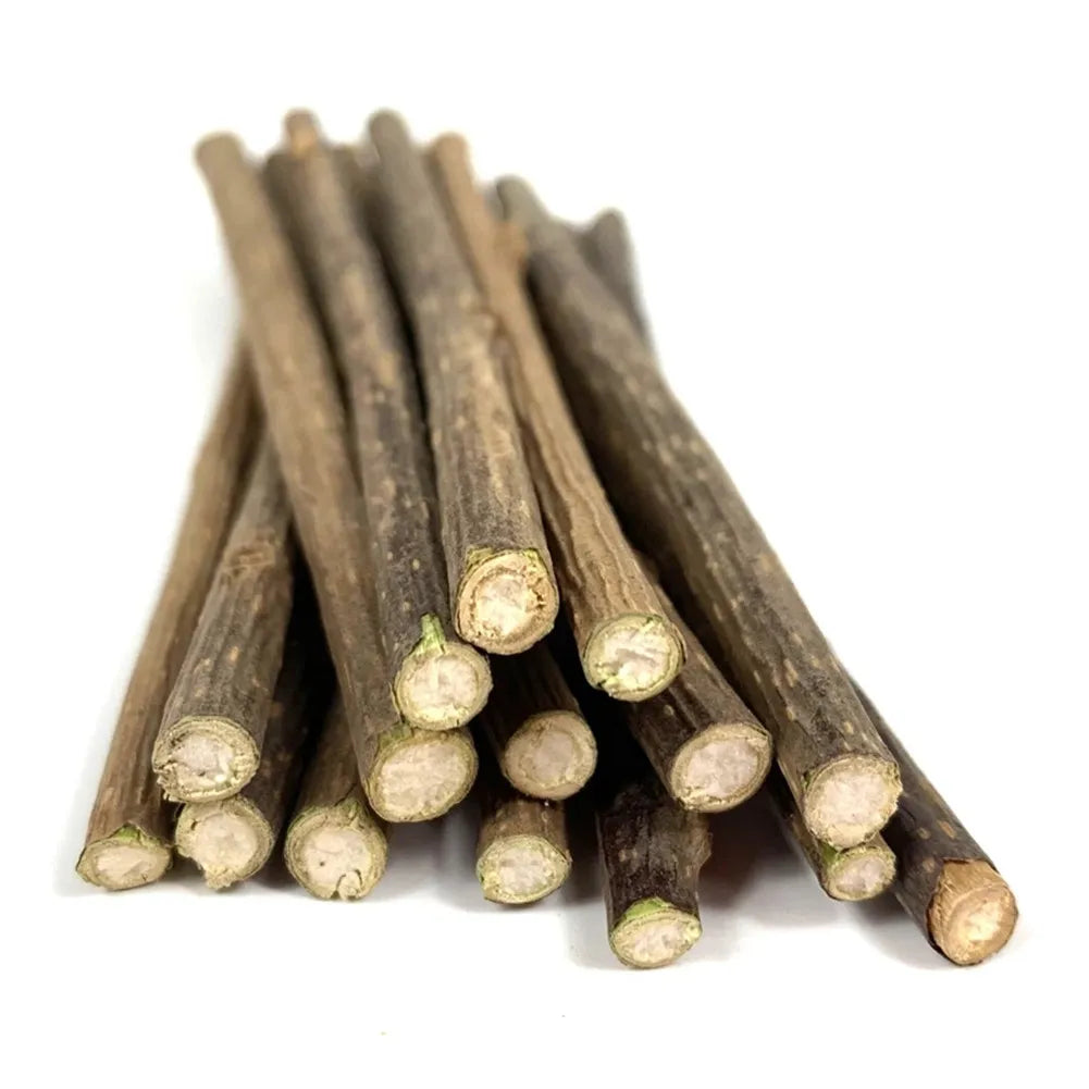 Bundle of natural silvervine chew sticks for cats – photo 11