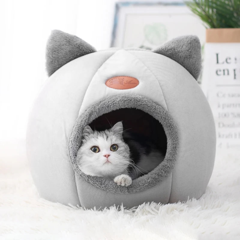 Cat resting in a cosy cave bed