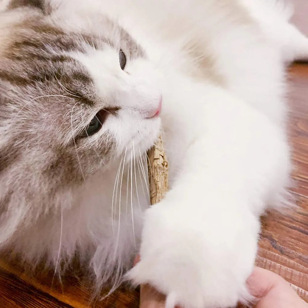 Bundle of natural silvervine chew sticks for cats – photo 8