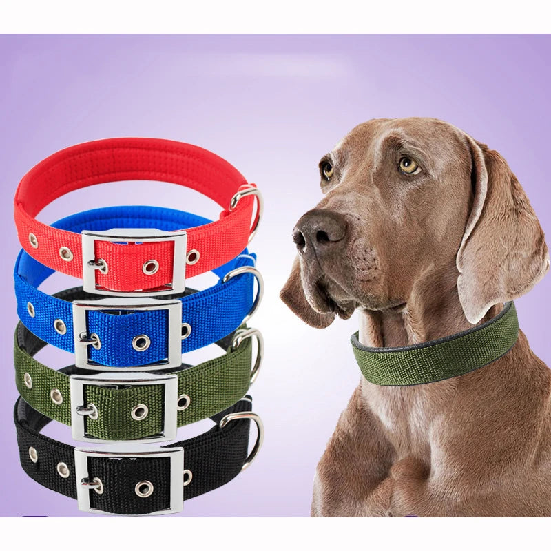 Nylon dog collar in solid colours – photo 2