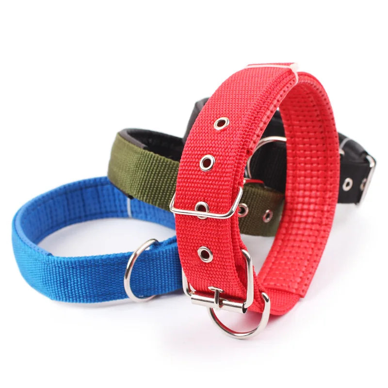 Nylon dog collar in solid colours – photo 10