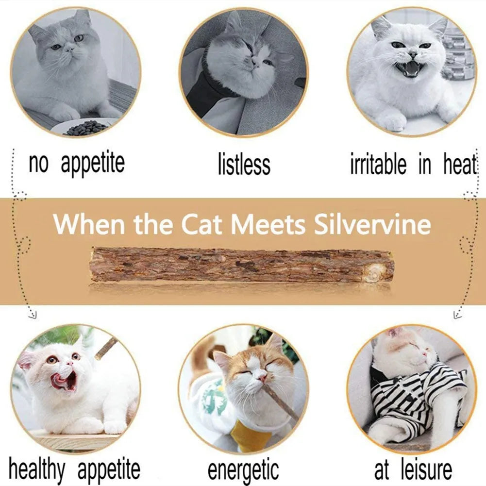 Silvervine Chew Sticks for Cats (Pack of 15)