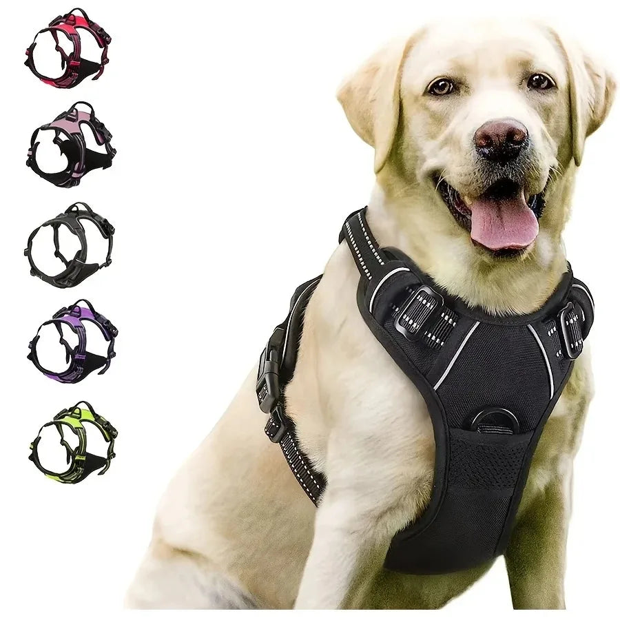 Colourful vest dog harness
