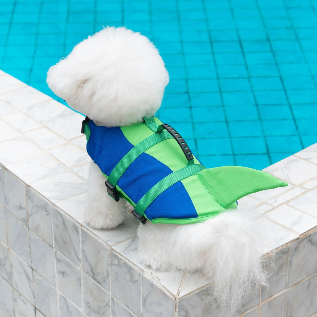 Dog wearing a bright adjustable life jacket for swimming – photo 2