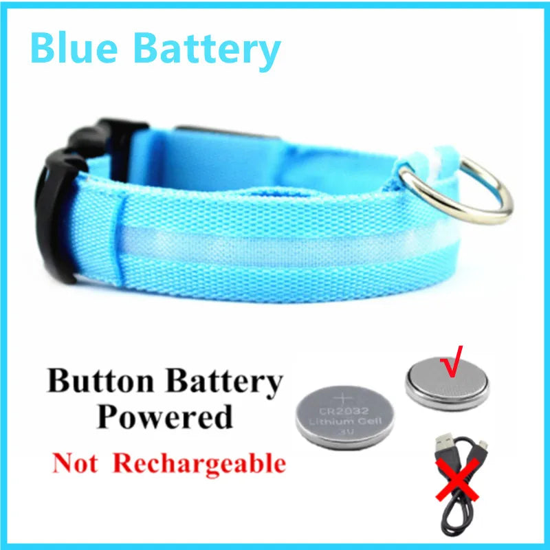 LED Light-Up Dog Collar, USB or Battery Powered