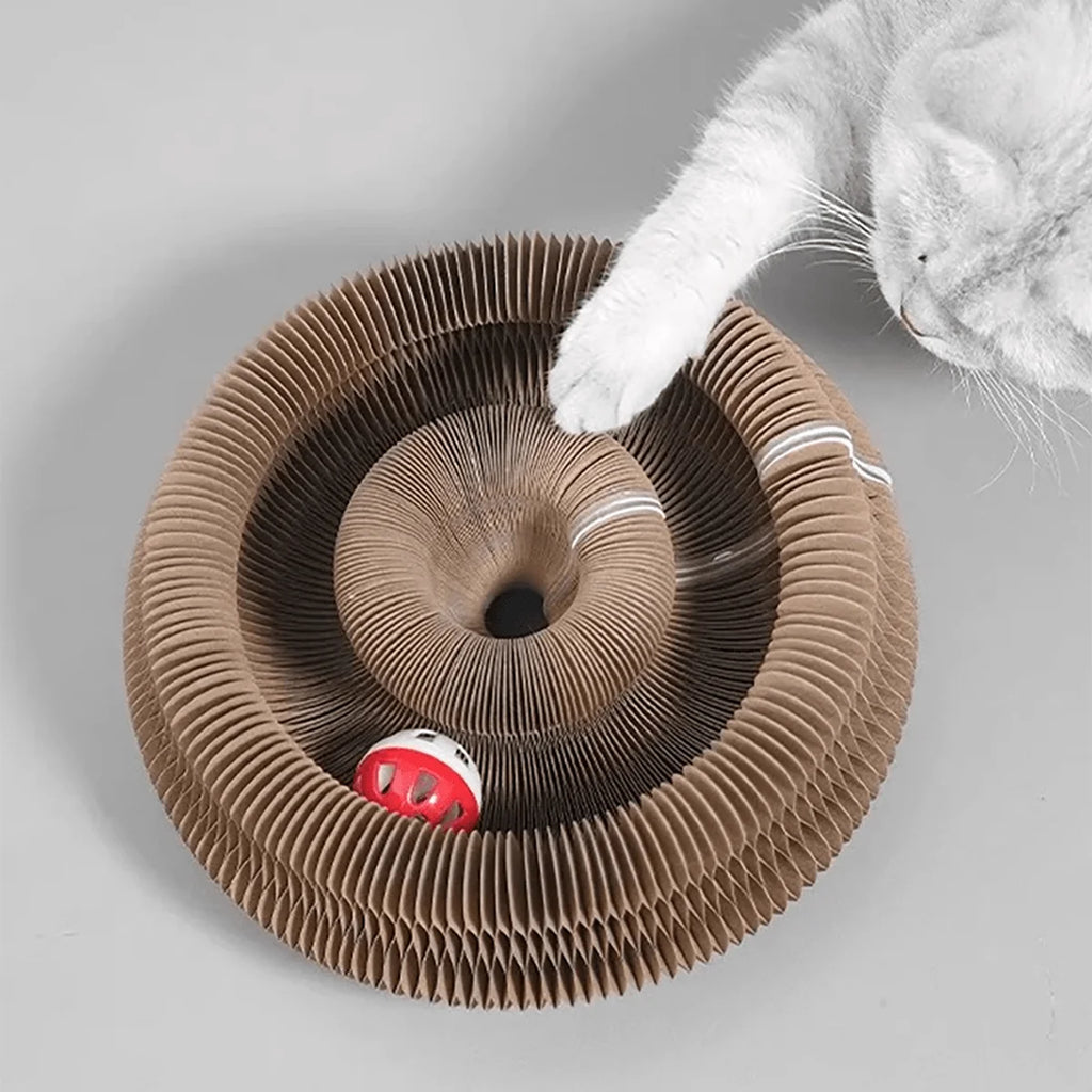 Cat playing with a twisting cardboard scratcher toy with bell ball