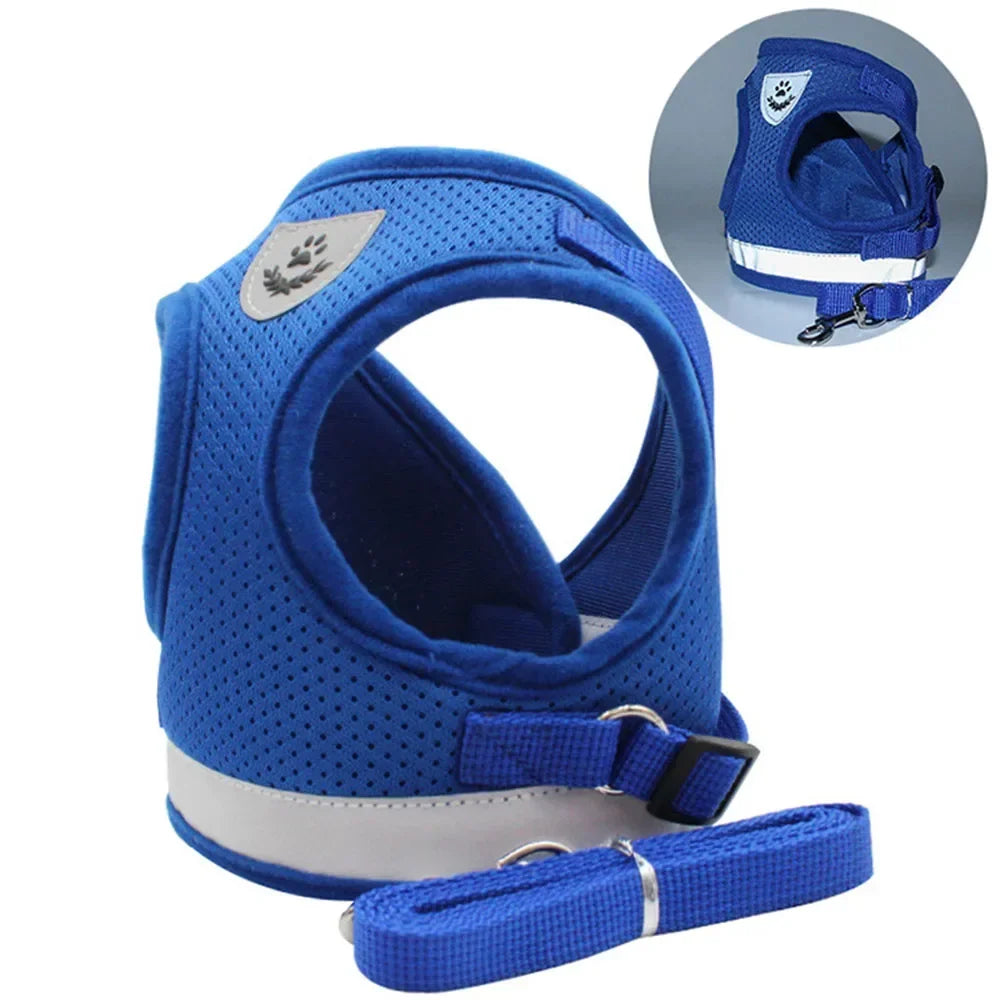 Reflective Mesh Harness & Lead Set for Cats