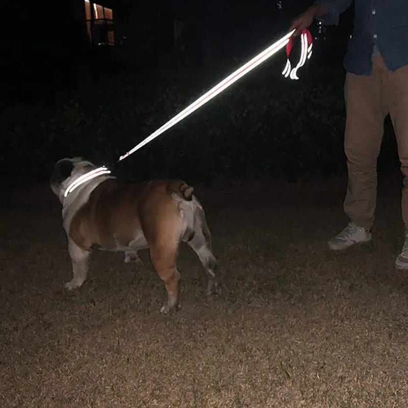 Reflective polyester lead for dogs and cats – photo 2