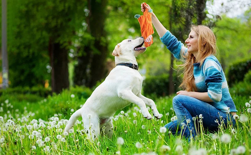 Animal-shaped plush squeaky dog toy – photo 8