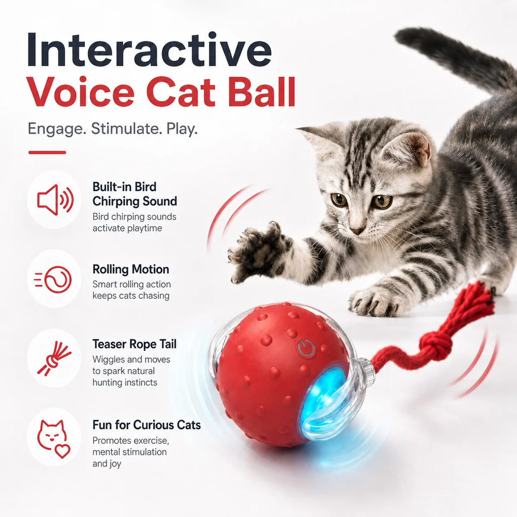 Cat chasing an automatic rolling ball toy with a tail – photo 11