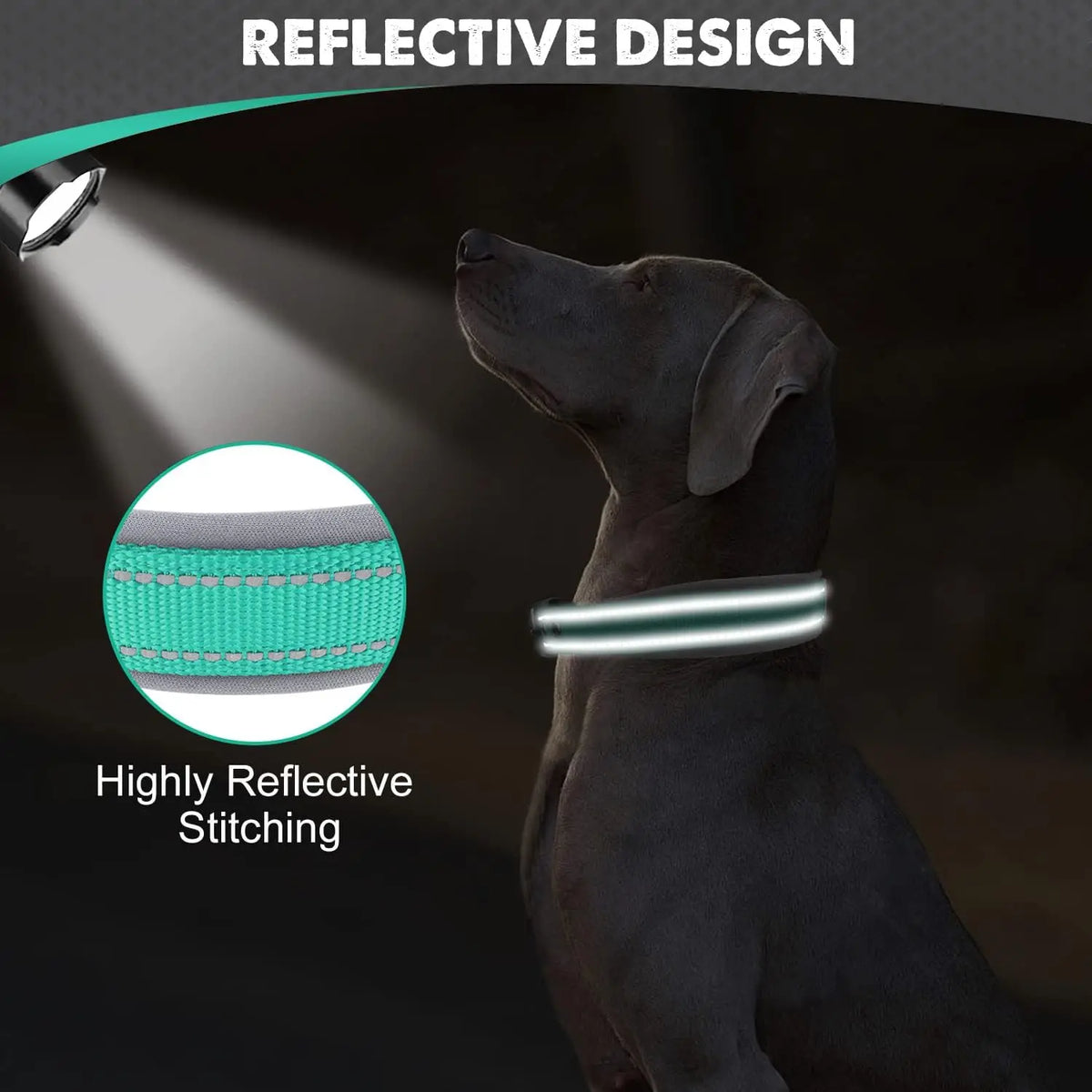 Padded reflective nylon dog collar with metal buckle – photo 3