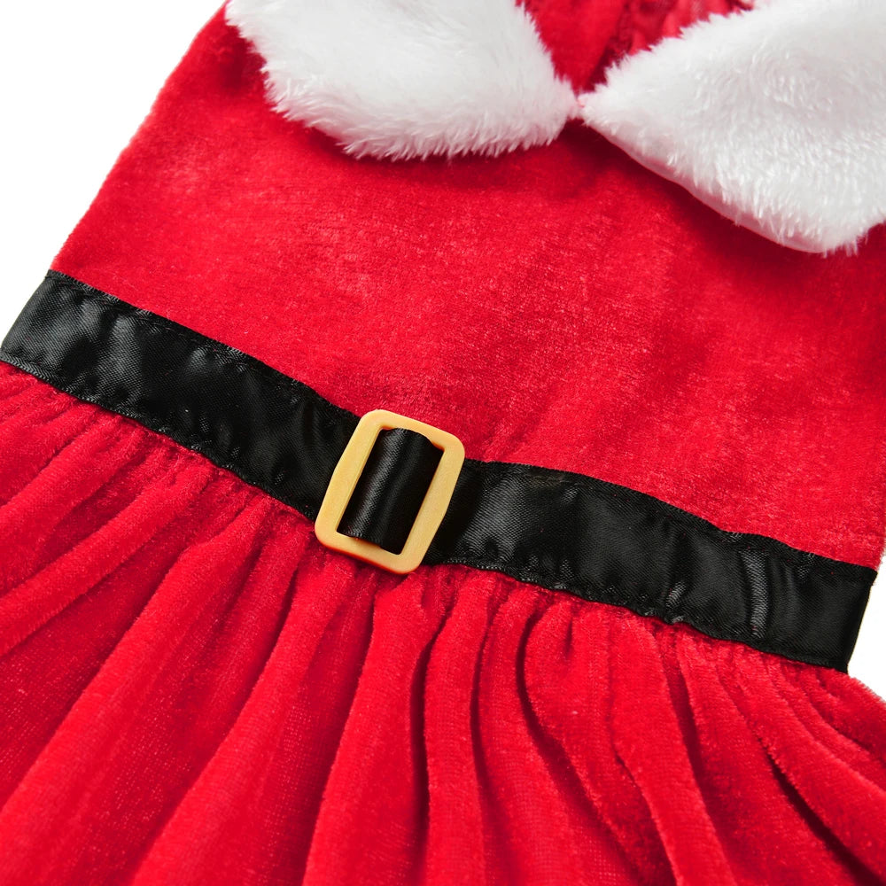 Cat wearing a red Santa Christmas dress – photo 10