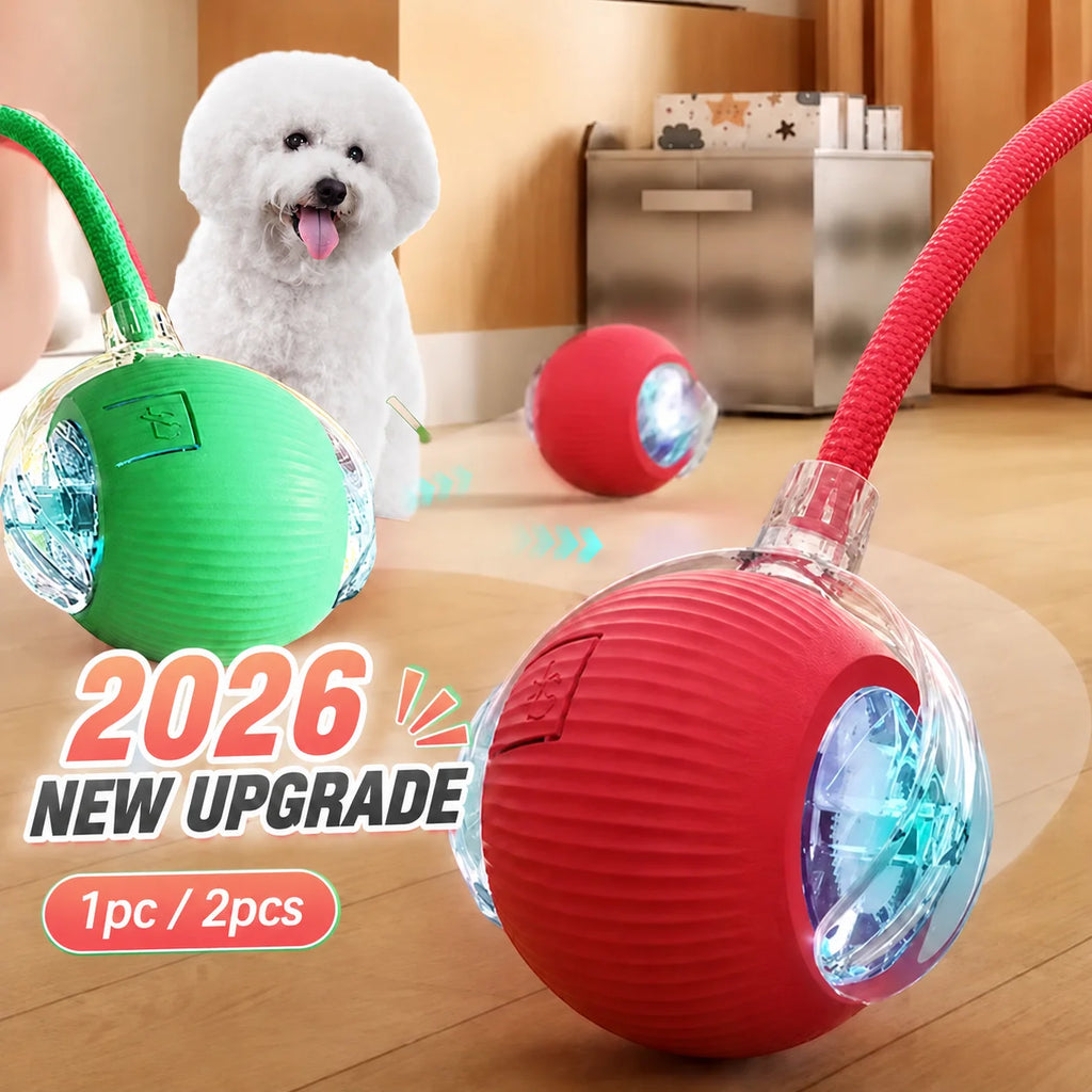 Automatic rolling ball toy for dogs with tail