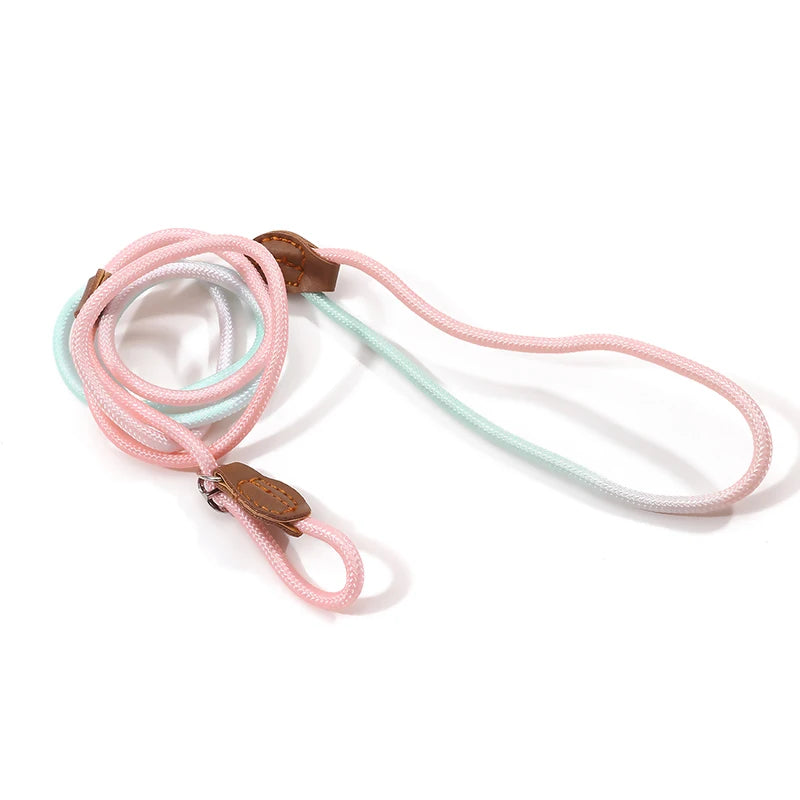 Braided Slip Lead for Dogs