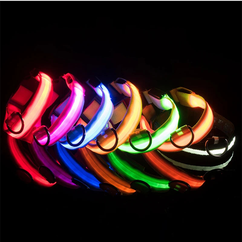 LED Light-Up Dog Collar, USB or Battery Powered