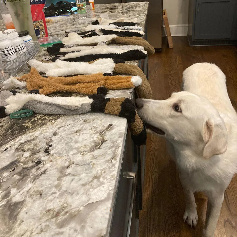 Stuffing-Free Squeaky Animal Dog Toy