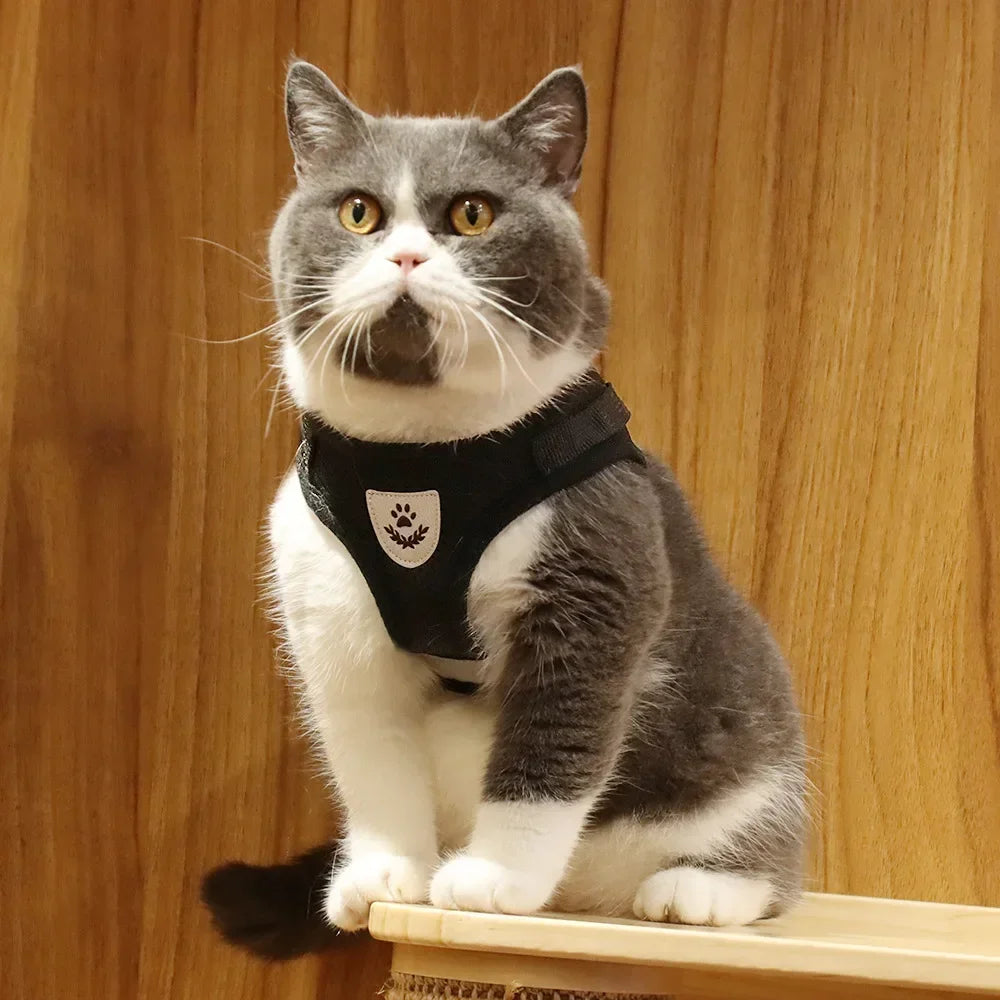 Reflective Mesh Harness & Lead Set for Cats