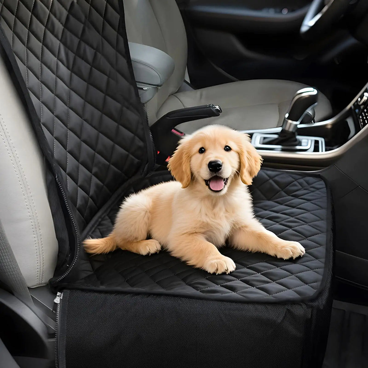 Puppy sitting in a quilted dog car booster seat