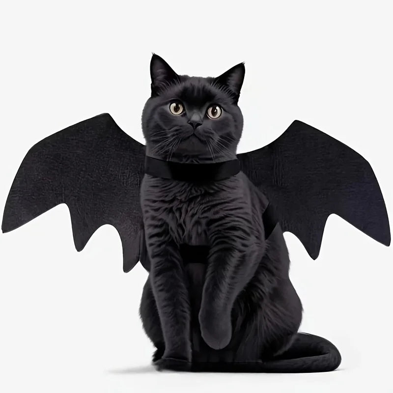 Black cat wearing black bat wings Halloween costume