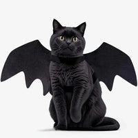 Bat Wings Halloween Costume for Cats & Dogs