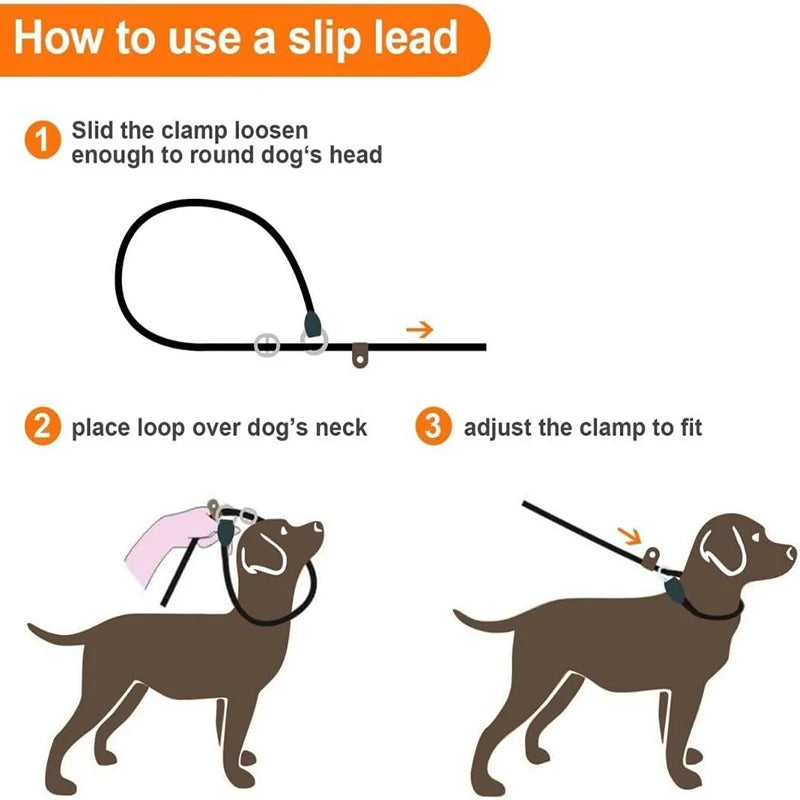 Braided two-tone nylon slip lead for dogs – photo 9