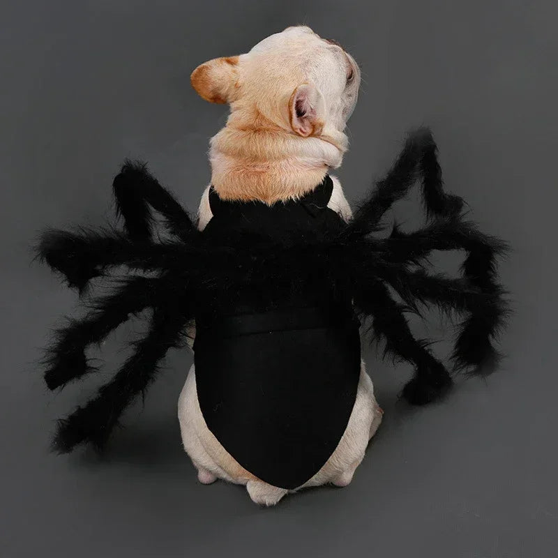 Cat wearing a black furry spider costume – photo 2