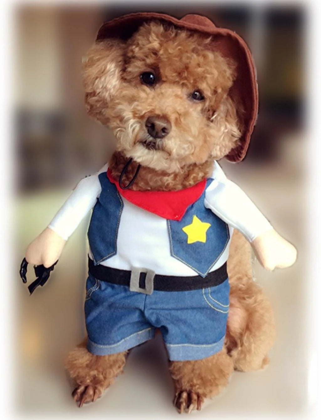 Cowboy Halloween Costume with Hat for Cats & Dogs