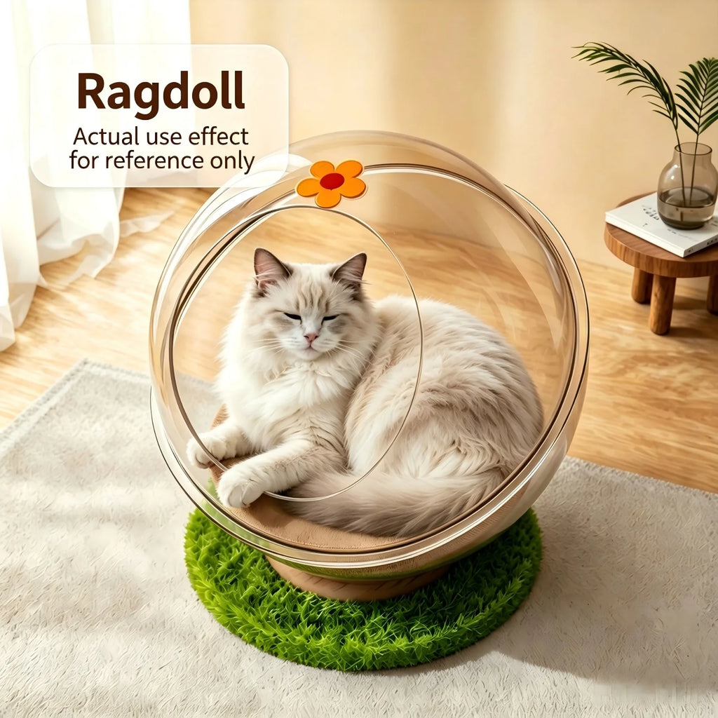 Space Capsule Cat Bed with Clear Dome & Stand