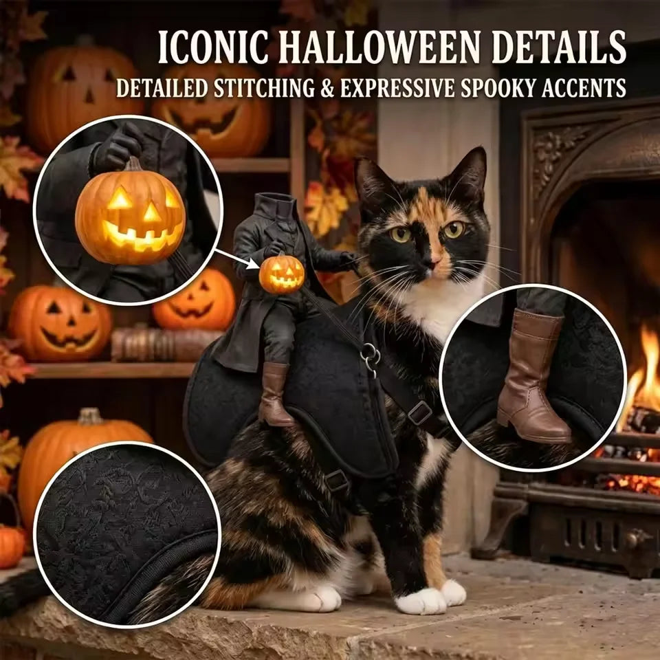 Cat wearing a headless horseman rider costume harness – photo 4