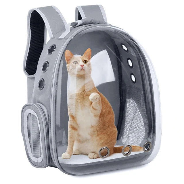 Grey clear bubble cat carrier backpack