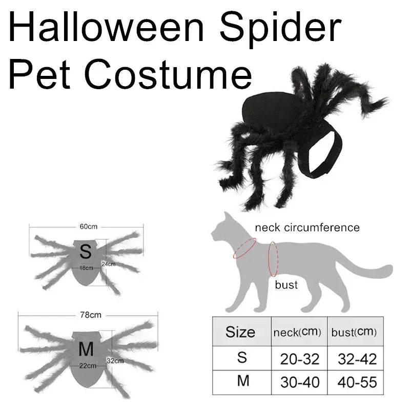 Cat wearing a black furry spider costume – photo 6