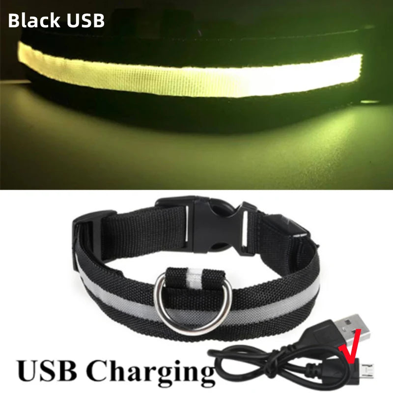 LED Light-Up Dog Collar, USB or Battery Powered