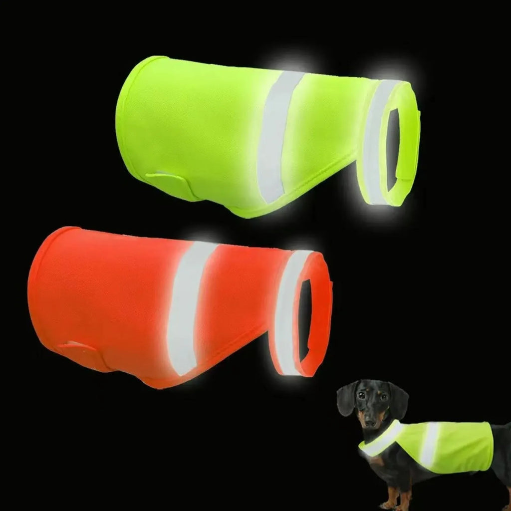 Dog wearing a reflective high-visibility vest – photo 6