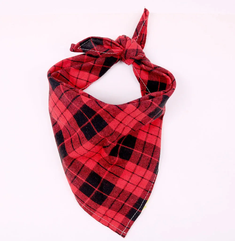 Dog wearing a plaid cotton bandana – photo 9