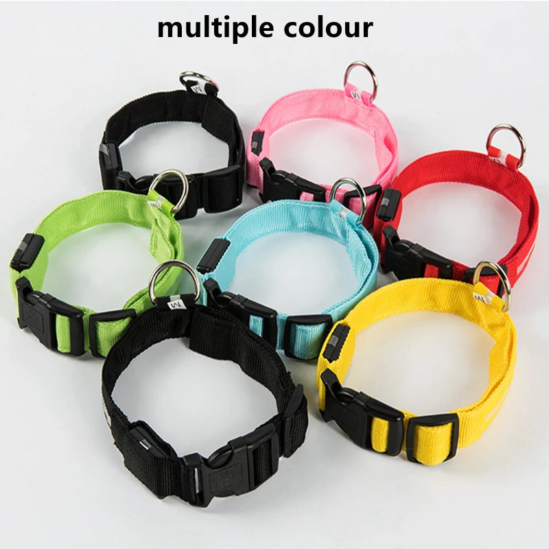 LED Light-Up Dog Collar, USB or Battery Powered
