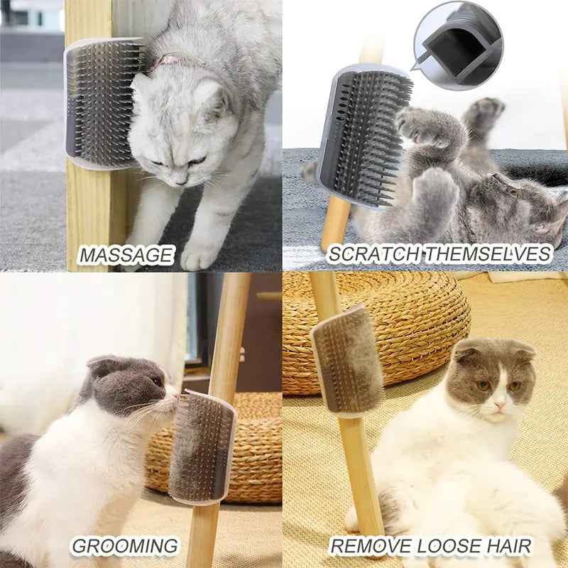 Cat rubbing against a corner self-grooming brush – photo 2