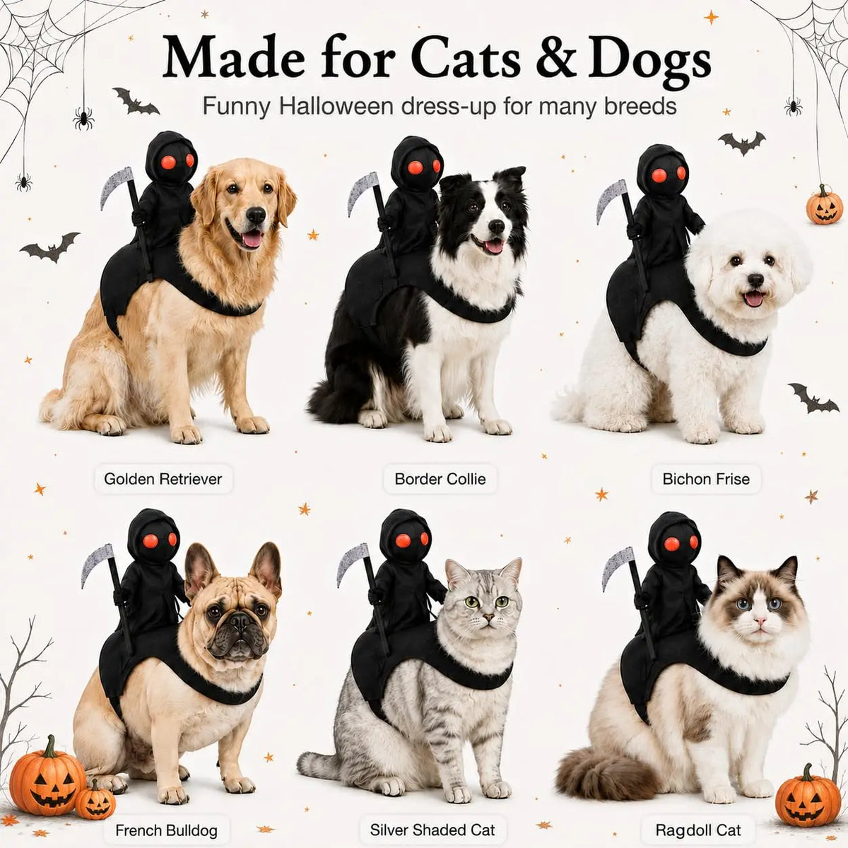 Pet wearing a reaper knight rider Halloween costume on a felt saddle – photo 10