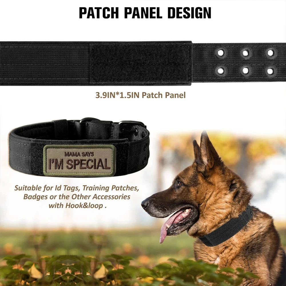 Military-style nylon dog collar with metal buckle and D-ring – photo 8