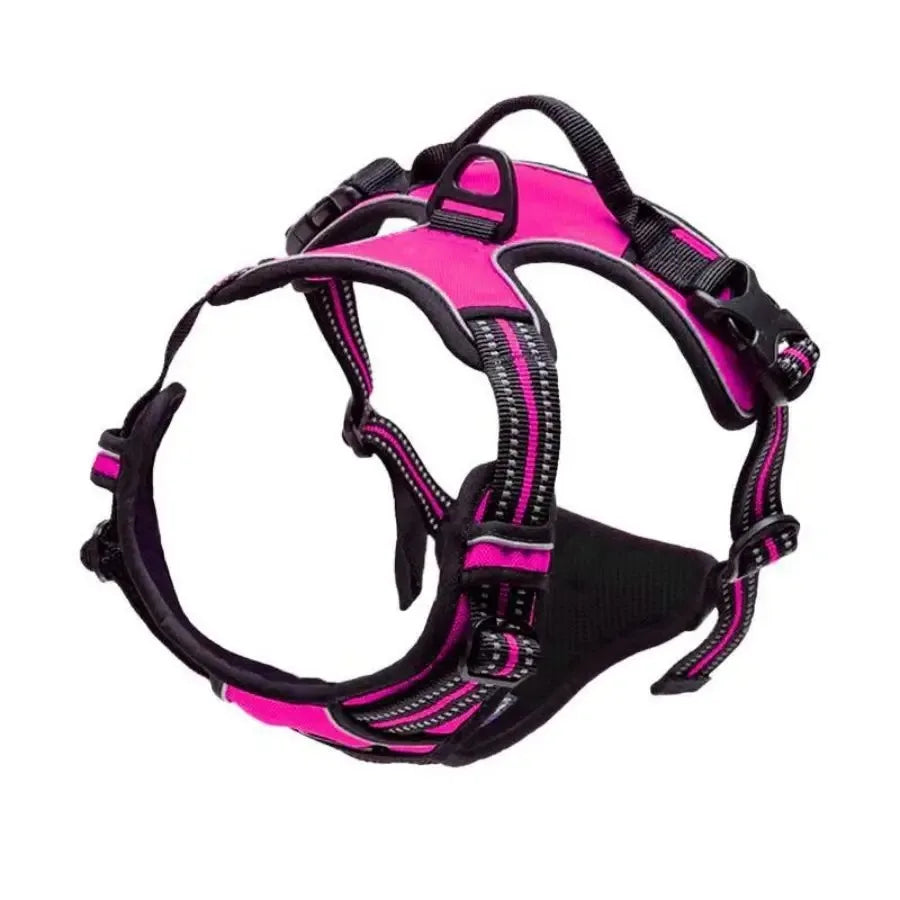 Vest Dog Harness in Bright Colours