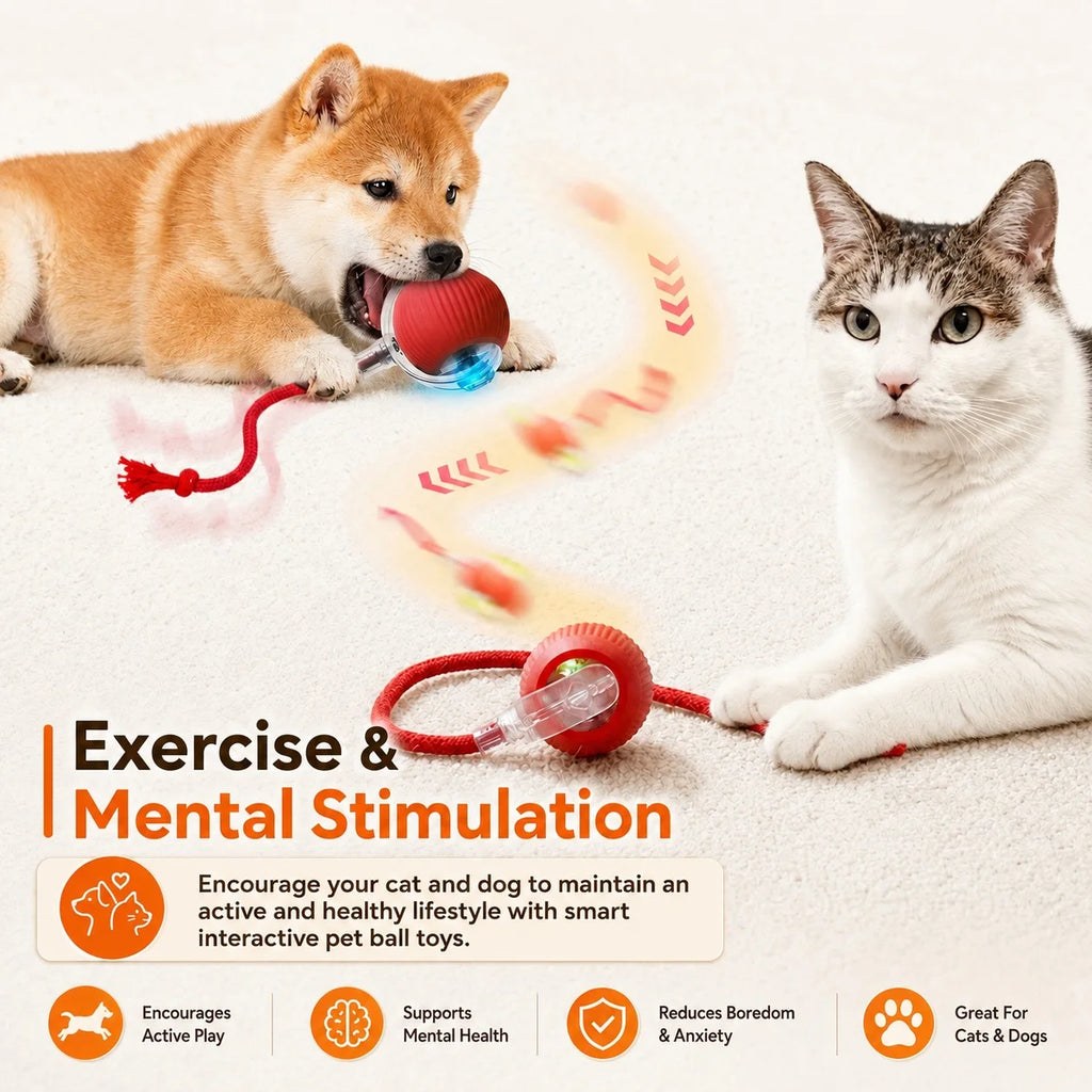 Rechargeable Automatic Rolling Ball for Cats
