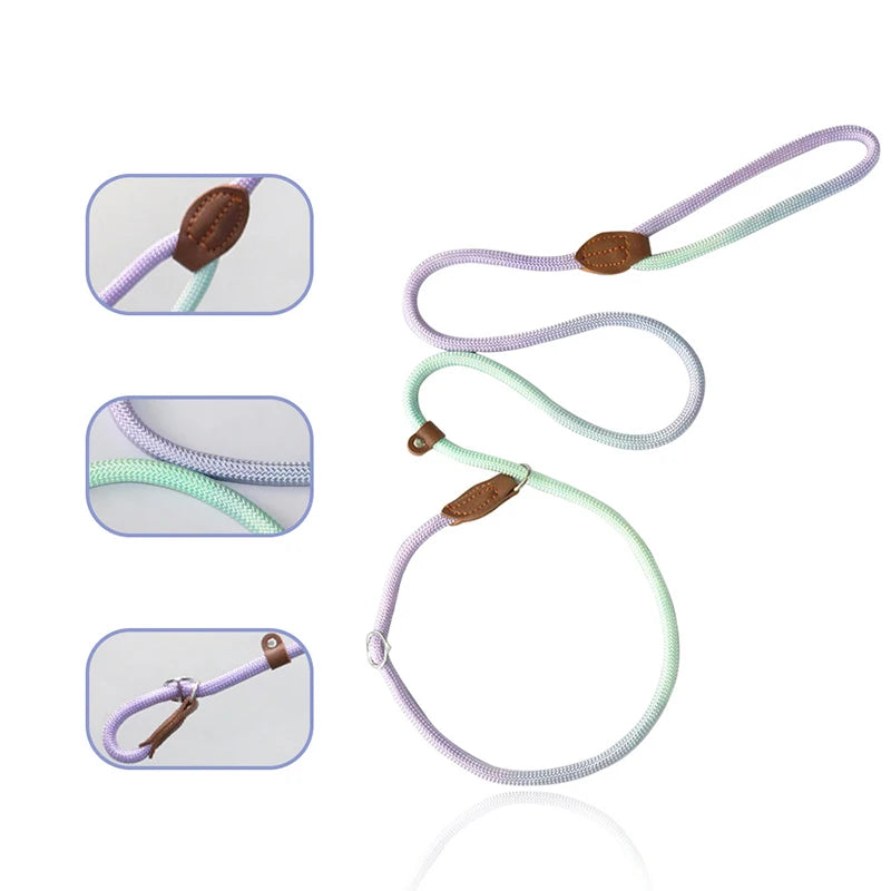 Braided two-tone nylon slip lead for dogs – photo 10