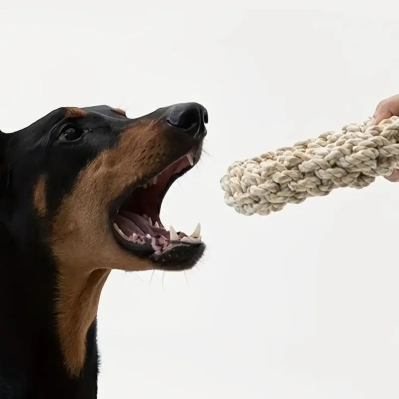 Rope tug toy for medium and large dogs