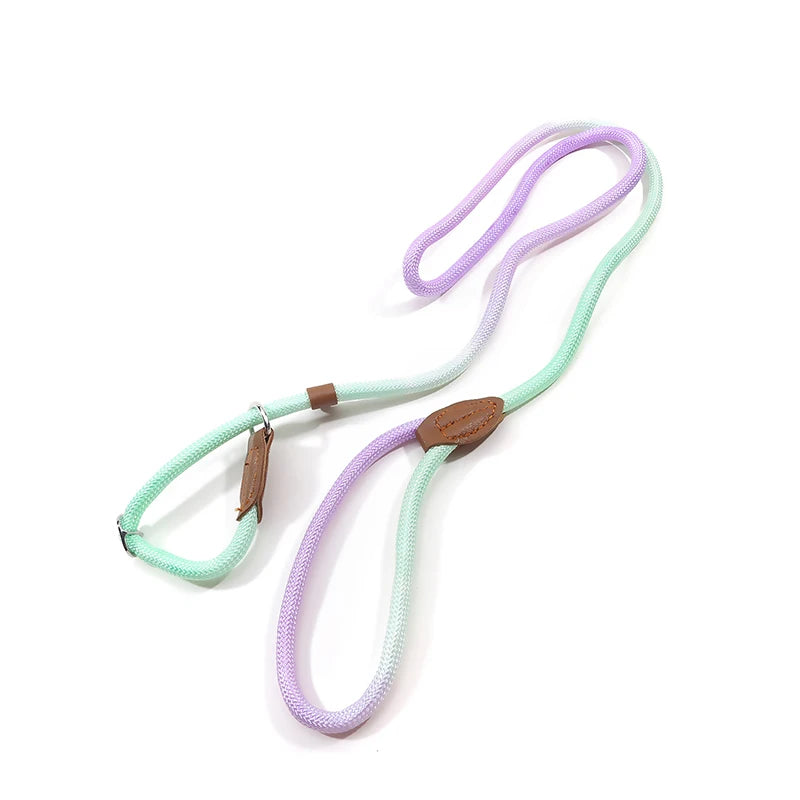Braided two-tone nylon slip lead for dogs – photo 12