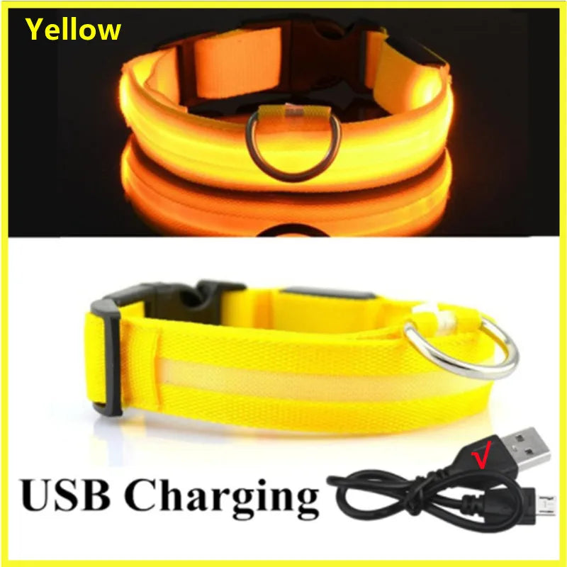 LED Light-Up Dog Collar, USB or Battery Powered