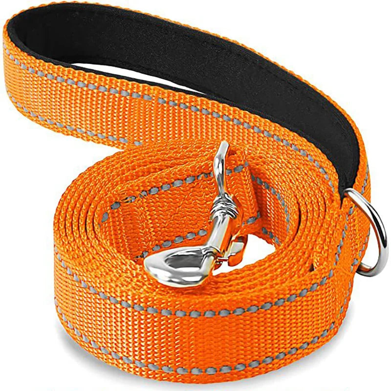 Reflective Lead for Dogs & Cats