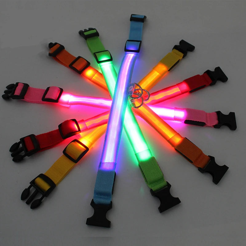 LED Light-Up Dog Collar, USB or Battery Powered
