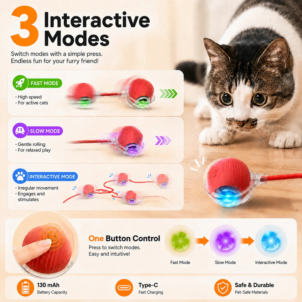 Cat chasing an automatic rolling ball toy with a tail – photo 4