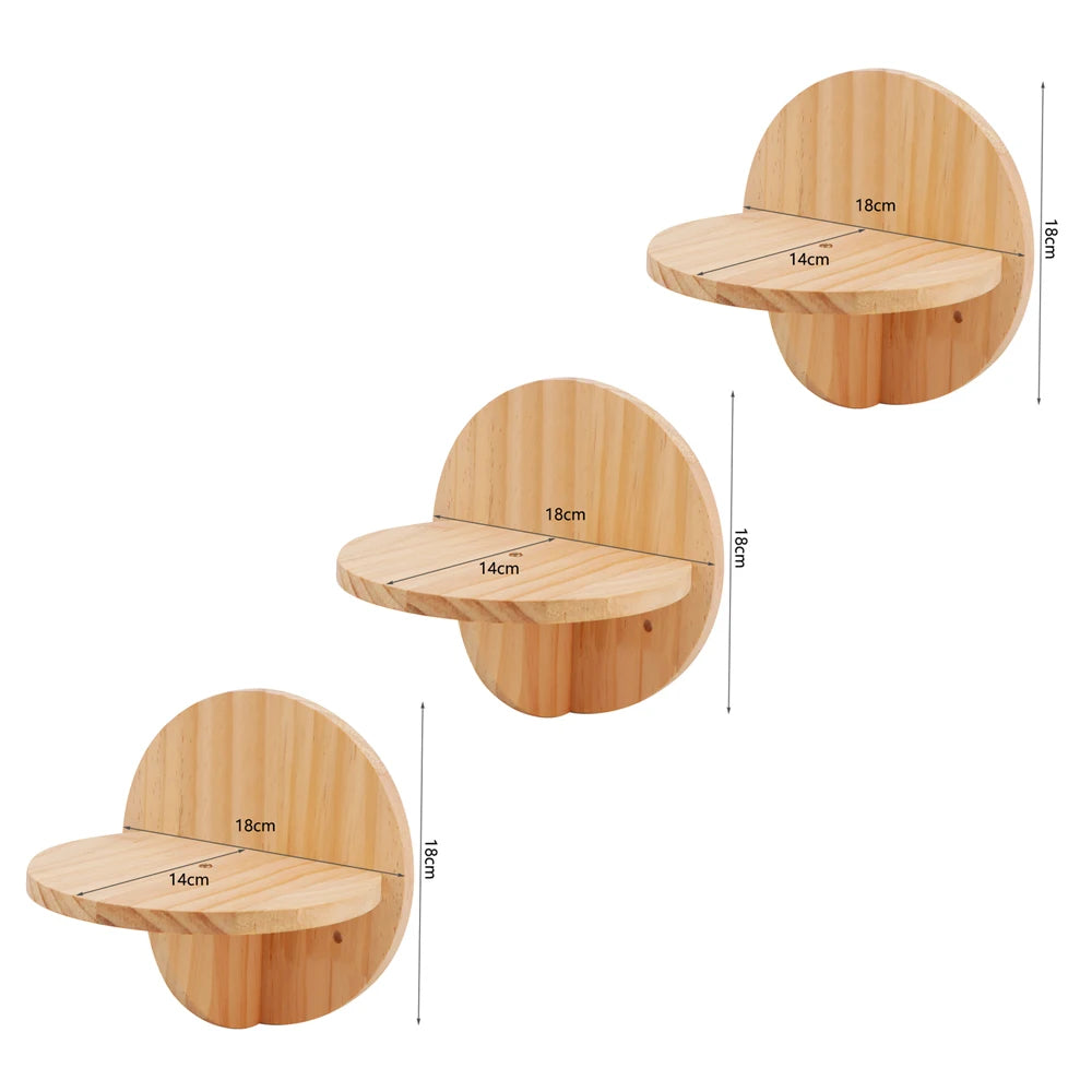 Wall-Mounted Pine Cat Shelves & Perches